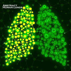 Abstract human lungs molecule structure vector