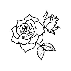 Elegant Rose Line Art Vector Image