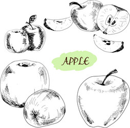 Apple Vector Images (over 210,000)