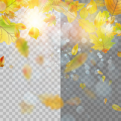 autumn concept template with copy space eps 10 vector image