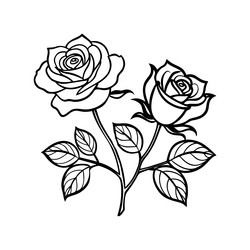 rose flower line art with leaves and buds Vector Image