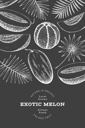 Melons with tropical leaves design template hand vector