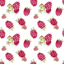 Hand-Drawn Raspberry Pattern vector image