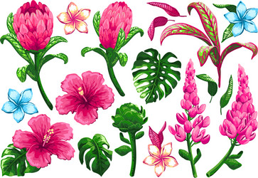 Tropical Palm Leaves Vector Image