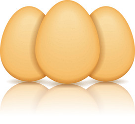 eggs vector