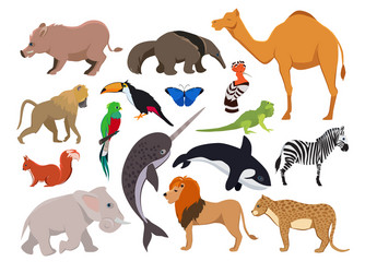 Wild animals set Royalty Free Vector Image - VectorStock
