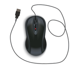 Computer mouse icon on an isolated background vector