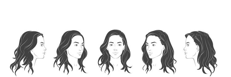 set of three different angles view vector image