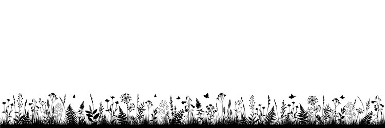 Long floral background with black silhouettes vector