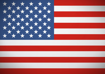 United States Flag Vector Image