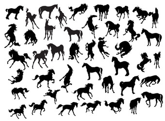 Horse Silhouette Set Vector Image