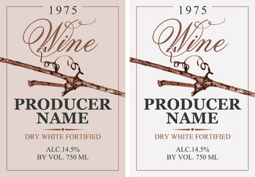 set of two wine labels with grapevine vector image