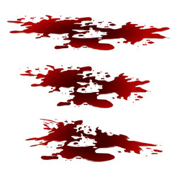 blood puddle red drop blots stain plash od vector