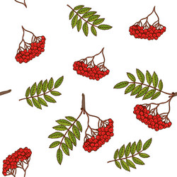 Seamless pattern with rowan branches vector