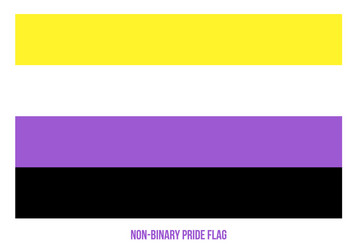 non-binary pride flag designed with correct color vector image