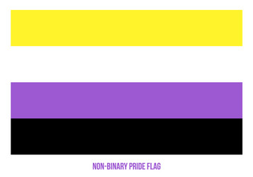 non-binary pride flag designed with correct color vector