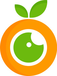 fruit eye logo icon design vector