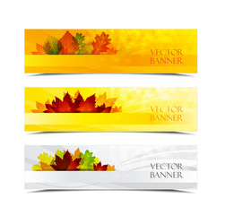 Banners vector