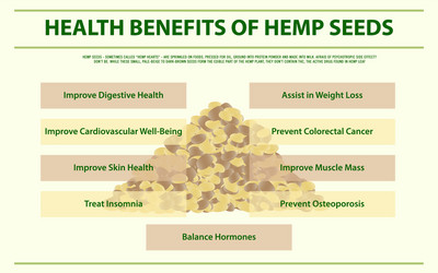 Health benefits hemp seeds infographic vector