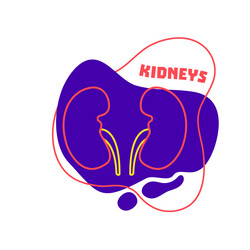 Kidneys urinary system body organ outline icon vector