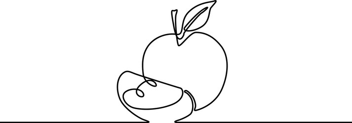 continuous line appe and slice apple vector image