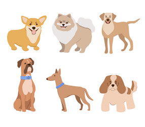 Dogs breed icon set Royalty Free Vector Image - VectorStock