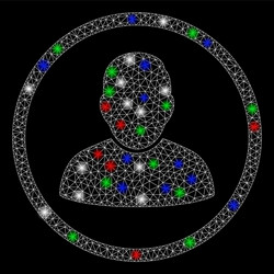 bright mesh carcass rounded user with light spots vector image