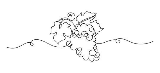 grape in one continuous line drawing minimalist vector image