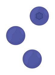 blueberries semi flat color objects set vector image