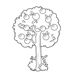 Tree with apples in the crown outlined vector