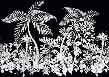 tropical plants flowers Vector Image