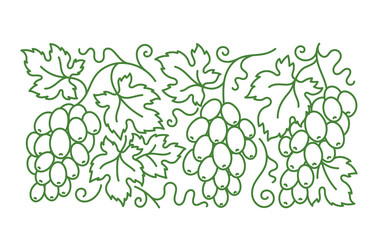 grape vine pattern branches and leaves vector image