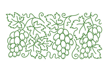 grape vine pattern branches and leaves vector