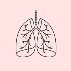 Hand drawn lungs doodle style internal organs Vector Image