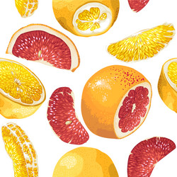 Seamless pattern in with citrus fruit slices vector