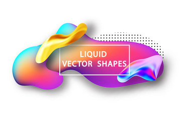 fluid shape layout isolated template set vector image