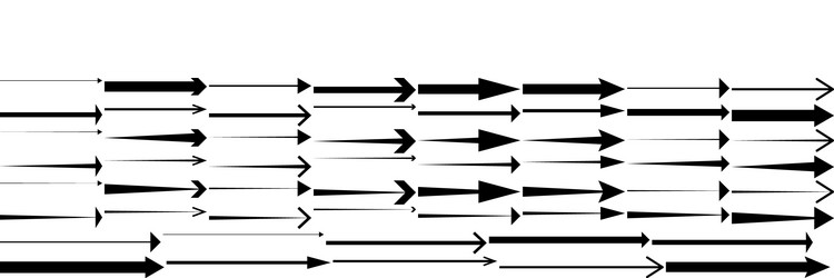 black arrows pointing right arrow shape element vector image