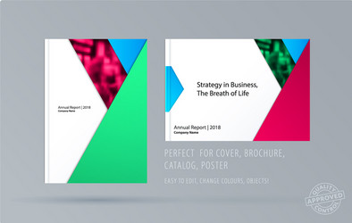 abstract double-page brochure material design vector image