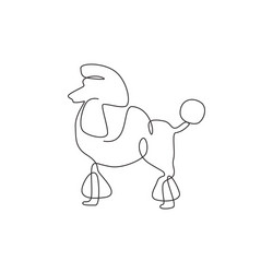Continuous Line Poodle Drawing Vector Image