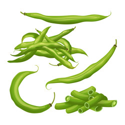 Green bean set cartoon vector