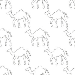 Camel seamless pattern line art Royalty Free Vector Image