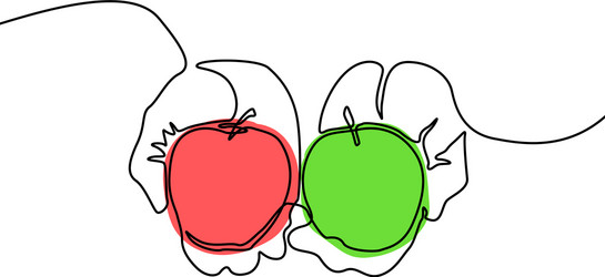 continuous line red and green apples in hands vector