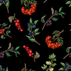 seamless pattern with berries such as rowan vector image