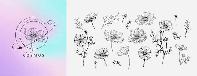 Cosmos Flower Tattoo Vector Images (over 370)