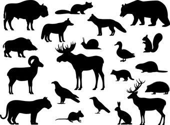 Set black silhouette wild forest steppe animals Vector Image