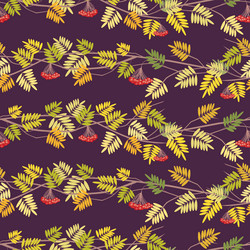 seamless pattern of rowan tree branches vector image