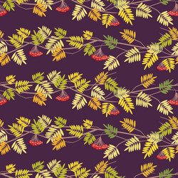 Seamless pattern of rowan tree branches vector