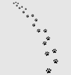 Cat Footprint Trail Vector Image