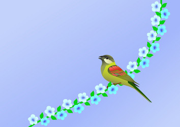 nature bird Vector Image
