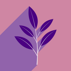 flat with shadow icon and mobile application vector image